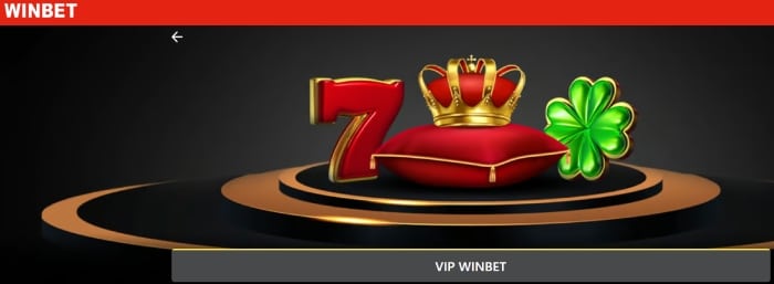 Partea Echipei VIP Winbet